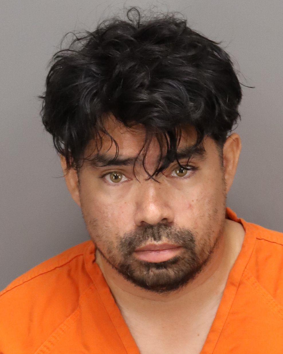 Landice Booking Photo